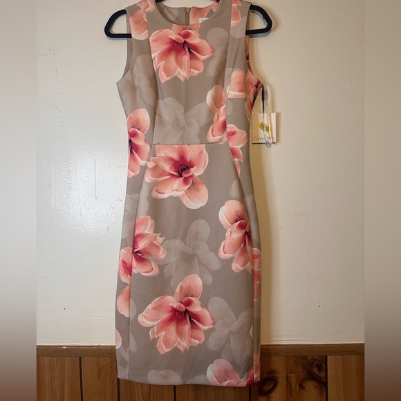 Calvin Klein Pink and Cream Floral Dress - Picture 1 of 3